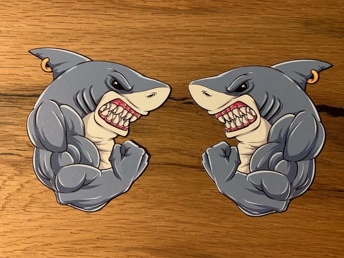 Adesivi shark squalo sticker - shark,